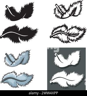 Set of Feathers Types with Different Concept, Vector Illustration Stock Vector