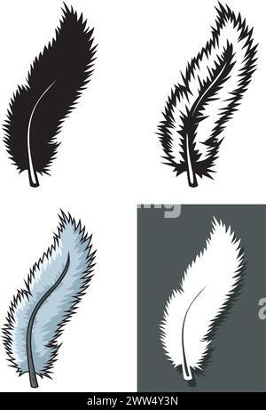 Set of Feathers Types with Different Concept, Vector Illustration Stock Vector