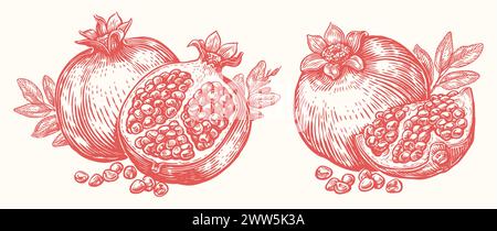 Healthy ripe pomegranate with leaves. Fresh tropical fruit. Hand drawn vector illustration Stock Vector