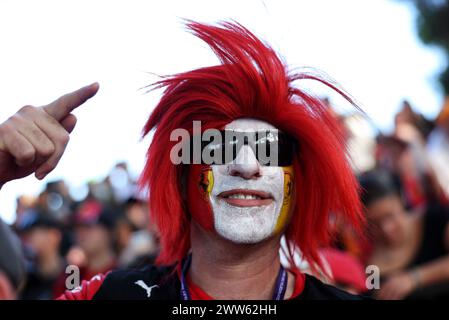 Melbourne, Australia. 22nd Mar, 2024. Circuit atmosphere - fans. 22.03.2024. Formula 1 World Championship, Rd 3, Australian Grand Prix, Albert Park, Melbourne, Australia, Practice Day. Photo credit should read: XPB/Alamy Live News. Stock Photo