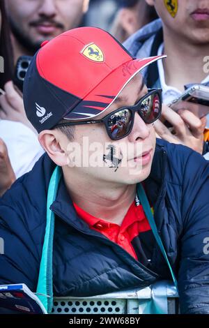 Melbourne, Victoria, Australia. 22nd Mar, 2024. MELBOURNE, AUSTRALIA - MARCH 22: Fan atmosphere at the 2024 Australian Grand Prix at Albert Park in Melbourne, Australia (Credit Image: © Chris Putnam/ZUMA Press Wire) EDITORIAL USAGE ONLY! Not for Commercial USAGE! Stock Photo