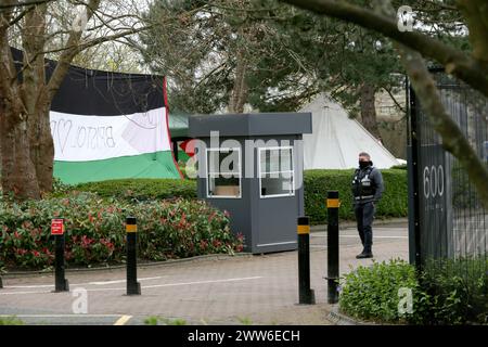 A security guard for Elbit Systems looks out onto the back of a huge Palestinian flag and a bell tent. Supporters of Palestine Action set up a protest camp outside Israeli arms company, Elbit Systems. The protest group have been targeting Elbit Systems at the eight businesses that operate in the UK. The protesters state 85% of drones flying in the Israeli defence force are provided by Elbit. These drones are oppressing Palestinians in Gaza and elsewhere and Palestine Action demand all Elbit Systems businesses in the UK close. As a result of persistent direct action Elbit has closed their offic Stock Photo