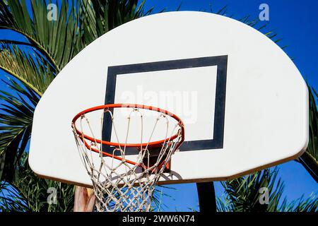 A basketball hoop stands beside a tall palm tree in Tumon Beach in Guam, USA Stock Photo