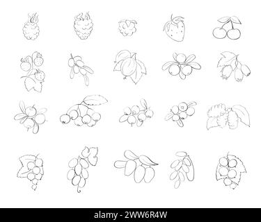 Set berry icons. Black outline. Collection of cartoon berries. Hand-drawn berries Stock Vector