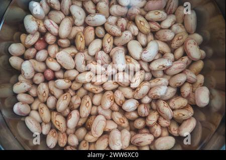 Preparation in Progress: A Close-Up Portrait of Dried Borlotti Beans Submerging in a Bowl of Water, Initiating the Rehydration Process for Cooking Stock Photo