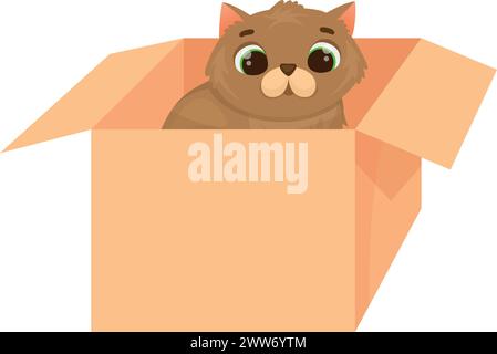 Funny cat sit in cardboard box. Cartoon pet isolated on white background Stock Vector