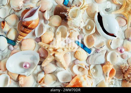 Lots of colored shells, pearls and starfish. Natural shell background. Stock Photo