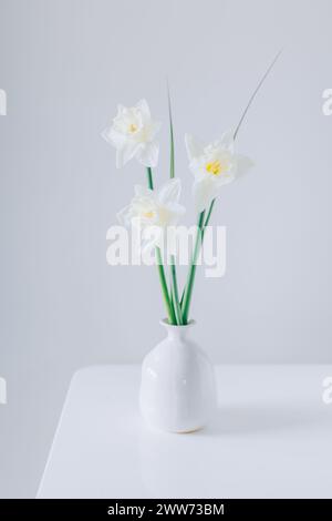 Beautiful flowers of white daffodil (narcissus) in a vase on a light grey background. Place for text. Stock Photo