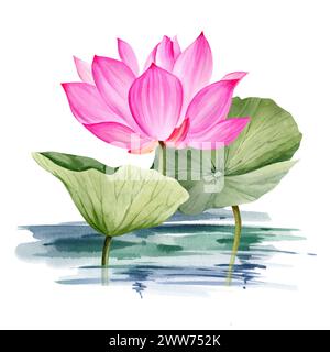 watercolor pink lotus flower and leaves, hand drawn illustration of spa and yoga theme, sketch of purple and magenta water lily with buds in water, As Stock Photo