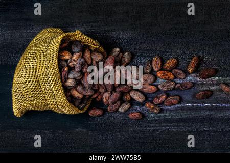 Close-up cocoa beans from the cocoa tree in a burlap pouch. Stock Photo