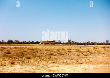 Road train, a common freight transport system in Australia,  and dry grass  in a flat dry desert landscape near Boulia in Outback Queensland Stock Photo