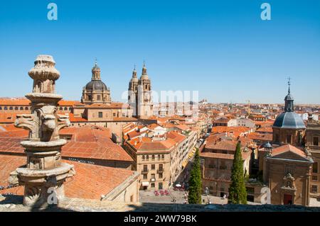 View from the terrace of the cathedral. Salamanca, Castilla Leon, Spain. Stock Photo