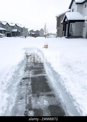 Cleared Pathway Amidst Snowy Suburban Landscape Stock Photo