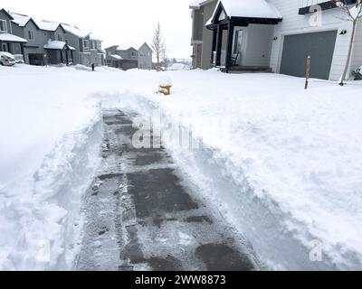 Cleared Pathway Amidst Snowy Suburban Landscape Stock Photo