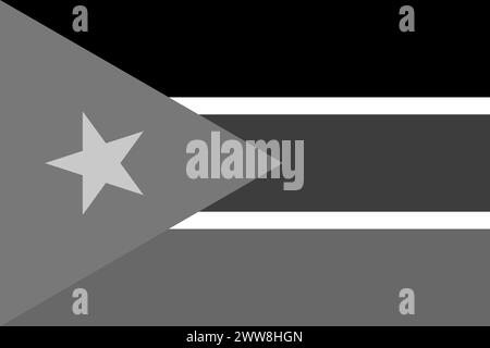 South Sudan flag - greyscale monochrome vector illustration. Flag in black and white Stock Vector