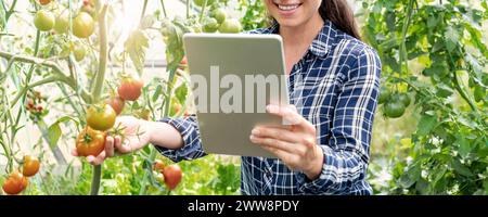 Woman farmer using digital tablet in bio vegetables greenhouse. Stock Photo