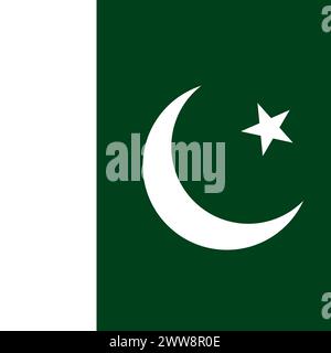 Pakistan flag - solid flat vector square with sharp corners. Stock Vector