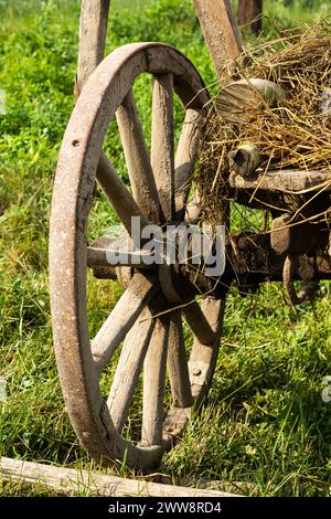 old wood hay-wagon coach wheel in grass. Stock Photo