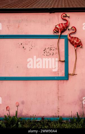 Two metal red flamingos on the pink wall of a building in Bridport, set against a blue picture frame. Abstract, wacky, quirky, artistic. Street art. Stock Photo