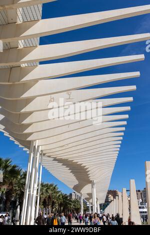 Moderna arquitectura  junto al Palmeral de las Sorpresas, paseo marítimo lleno de jardines, parques y rincones para el relax. Málaga, España Stock Photo