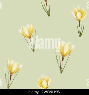Watercolor seamless pattern with yellow blooming crocus flowers isolated on background. Spring and easter botanical hand painted saffron illustration. Stock Photo