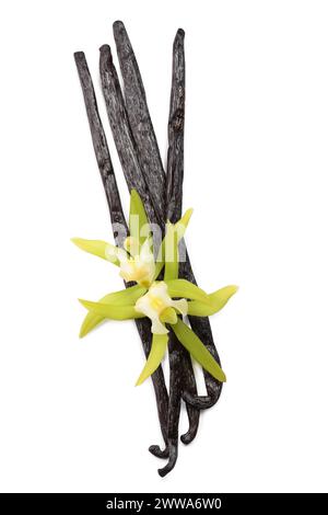 Vanilla pods and beautiful flowers isolated on white Stock Photo