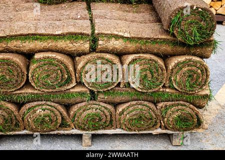 Stacked Rolls of Fresh Green Sod for New Lawn Installation Stock Photo