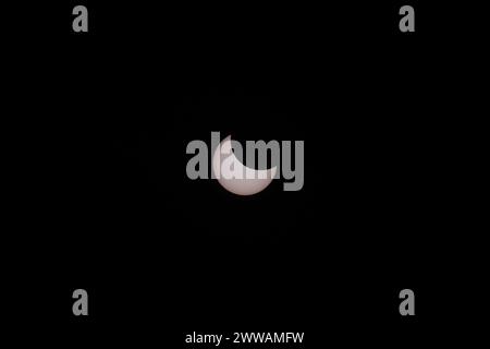 The solar eclipse of October 14, 2023 as seen from Victoria, BC, Canada. The sky is rendered black from the white solar filter on the camera lens. Stock Photo