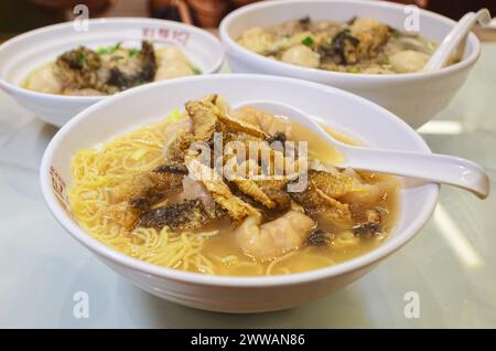 A bowl of Wonton noodles with fried fish skin topping Stock Photo