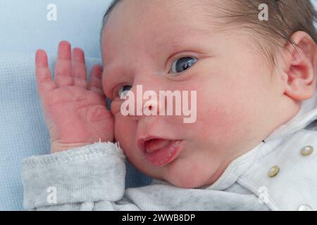 Newborn face making a face and sticking out its tongue at 2 days old. Stock Photo