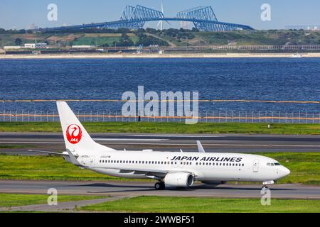 Tokyo, Japan - September 25, 2023: Japan Airlines JAL Boeing 737-800 airplane at Tokyo Haneda Airport (HND) in Japan. Stock Photo