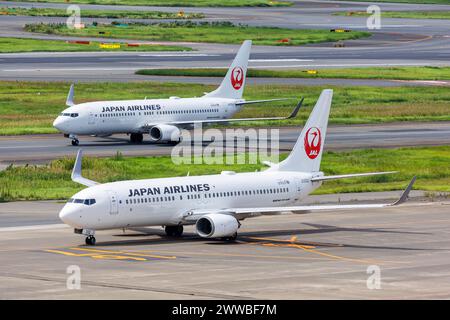 Tokyo, Japan - September 25, 2023: Japan Airlines JAL Boeing 737-800 airplanes at Tokyo Haneda Airport (HND) in Japan. Stock Photo