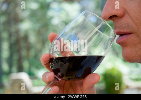 Man tasting red wine. Close view. Stock Photo