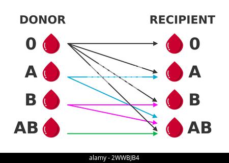 Blood Type Compatibility Table / Chart with Donor and Recipient Groups ...