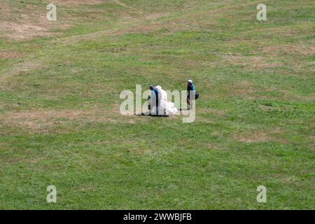 A pair of paragliders just landed on the landing point of the Savoy meadow in summer, Chamonix, Haute Savoie, Auvergne Rhone Alpes, France Stock Photo