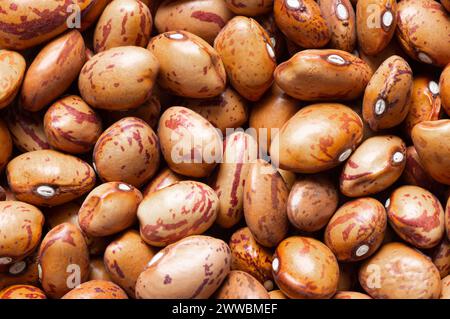 Uncooked dried roman beans texture background, heap of legume kidney bean concept Stock Photo