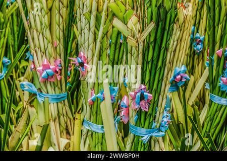 Antipolo City, Philippines. 23rd Mar, 2024. Handmade palm fronds in the street in preparation for Palm Sunday in Antipolo City. Palm fronds have been historically connected with victory and triumph throughout numerous cultures. Palm Sunday, which according to the Catholic faithful, marks the commencement of the week known as Holy Week. (Photo by Ryan Eduard Benaid/SOPA Images/Sipa USA) Credit: Sipa USA/Alamy Live News Stock Photo