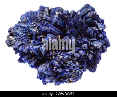 close up of sample of natural stone from geological collection - druse of rough azurite crystals isolated on white background from Kazakhstan Stock Photo
