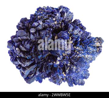 close up of sample of natural stone from geological collection - unpolished azurite mineral isolated on white background from Kazakhstan Stock Photo