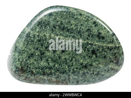 close up of sample of natural stone from geological collection - polished green quartzite mineral isolated on white background from Kola Peninsula Stock Photo