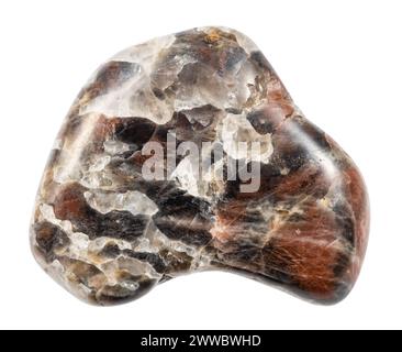 close up of sample of natural stone from geological collection - polished monzonite mineral isolated on white background from Irkutsk region Stock Photo