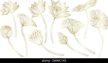 Lotus vector set. Linear drawing with flowers and leaves in golden colors. Engraved illustration of water lily in outline style for spa or Zen design. Monochrome etching for icon or logo. Stock Vector