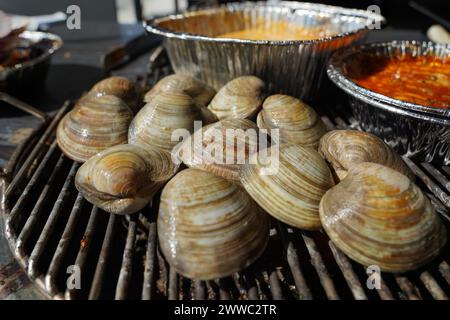 Fresh clams are grilled on a brazier and eaten. Stock Photo