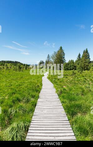 Boardwalk amidst green meadow under sky Stock Photo