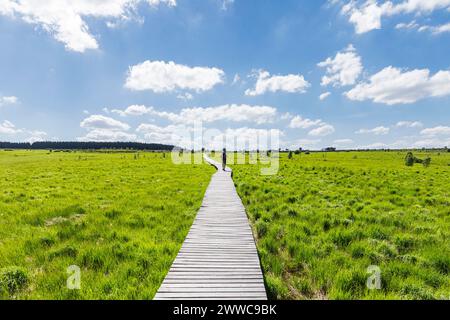 Man walking on boardwalk amidst green meadow under cloudy sky Stock Photo