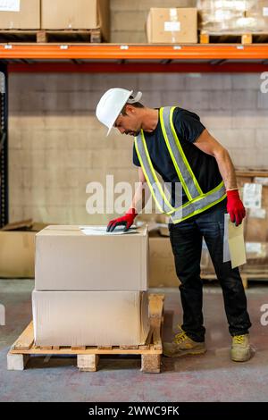 Worker examining checklist at wood distribution warehouse Stock Photo