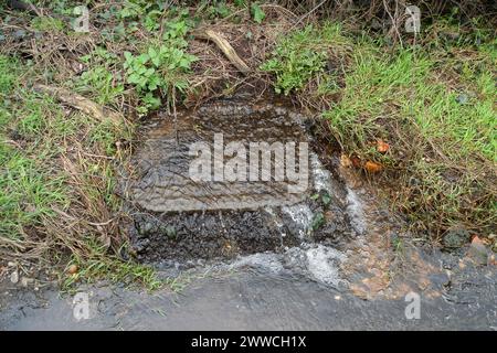 Slough, UK. 21st March, 2024. Water has been flowing out of a manhole cover in Dropmore Road in Slough for months now. Potholes in the road await repair. Credit: Maureen McLean/Alamy Stock Photo