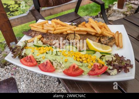 Plate of grilled trout with fries and salad in a restaurant in Kamienczyk village, Poland Stock Photo