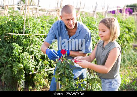 Dad and daughter in the garden Stock Photo