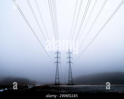 High voltage power line silhouette in foggy morning against white sky Stock Photo